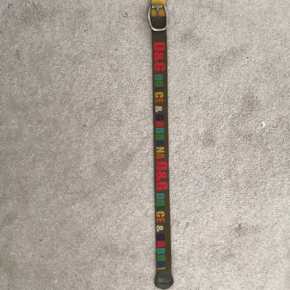 D&G Dolce & Gabbana Multi Color Belt